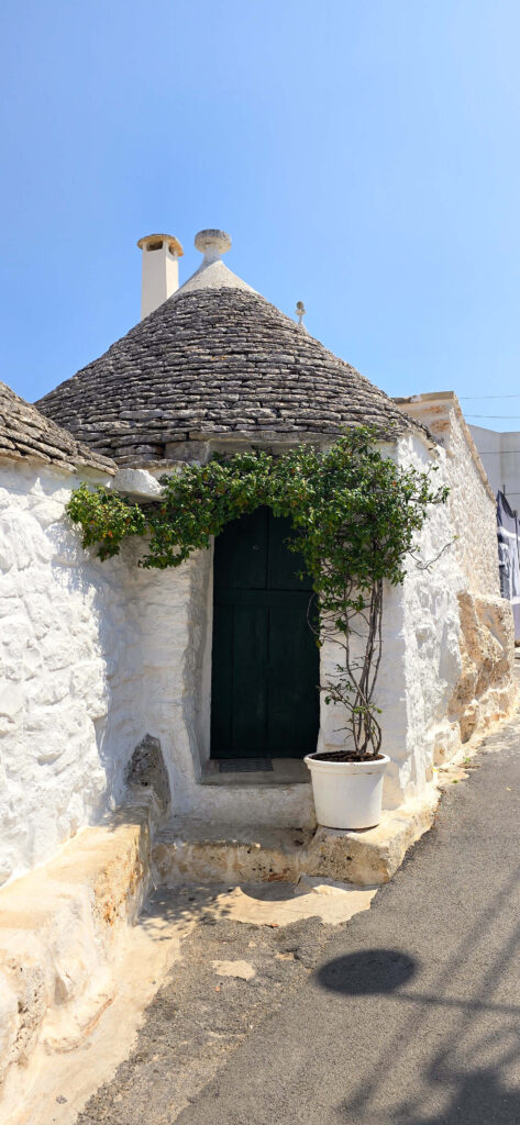 Traditional white trullo house with a dark green door and potted plant in Alberobello, Puglia.