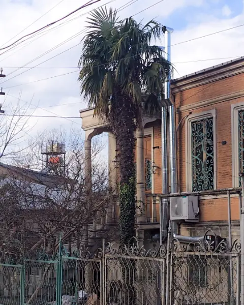 Traditional brick architecture and palm trees in Kutaisi's historic center, illustrating the city's unique charm.